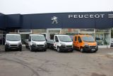 Peugeot Professional Kopecky 2